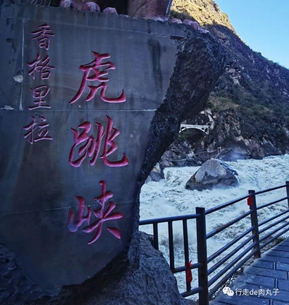 逗小猴开心系列200