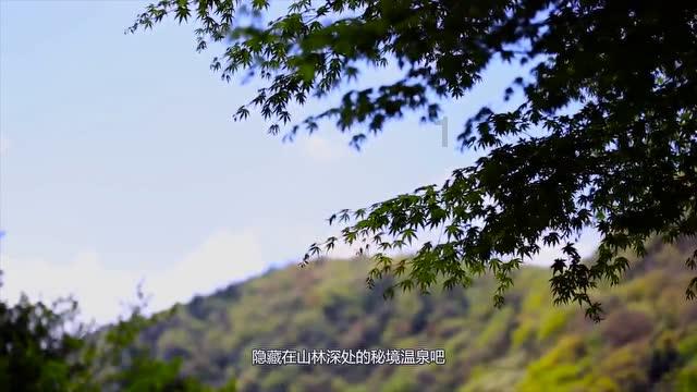 为什么有人故意倒龙眼果在路上？游戏画面