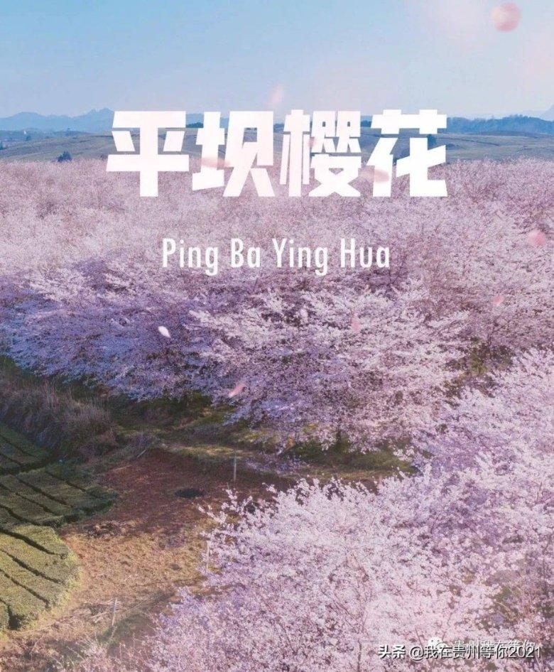 十年后看《父母爱情》才懂安杰去岛上看安欣,是对她最大的伤害