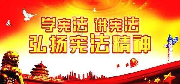 打折、优惠、免费!成都锦江区千家爱心企业为残疾人送上福利