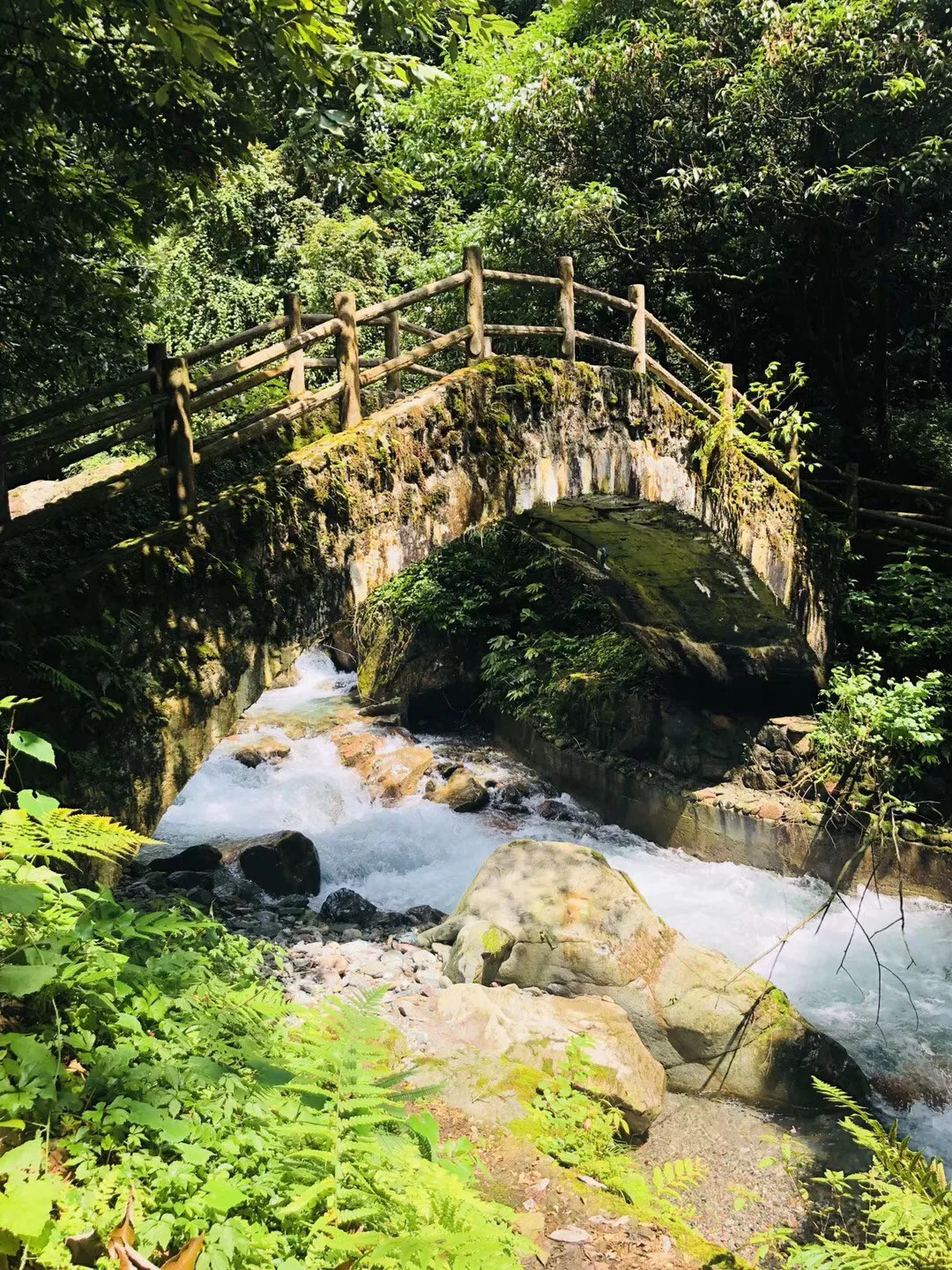 追云者编年史