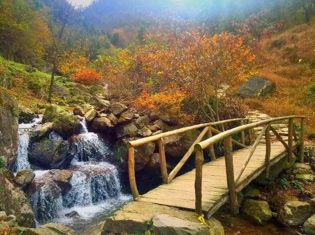 七人局